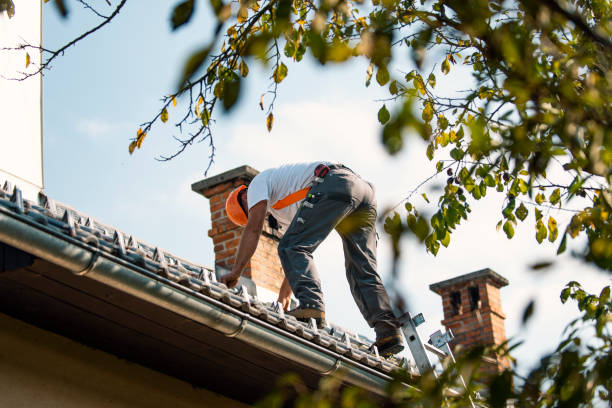 Best Roof Gutter Cleaning  in Old Brookville, NY